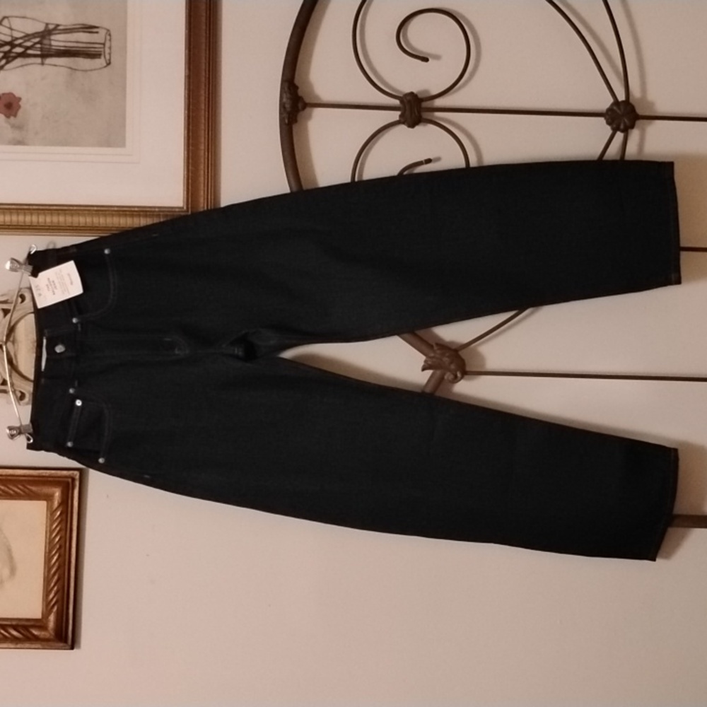 Madewell The Balloon Jean Rinse Wash Size 25 NWT